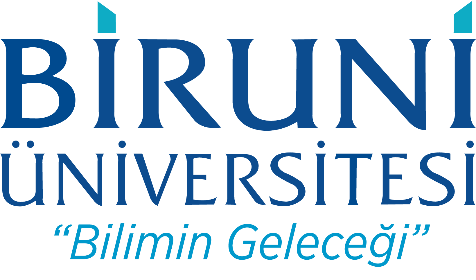 Biruni Üniversitesi